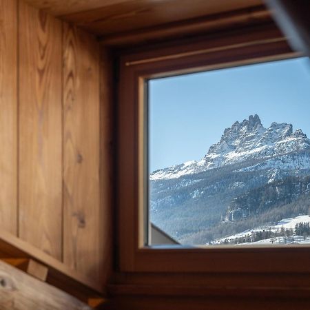 Cortina Lodge コルティーナ・ダンペッツォ エクステリア 写真